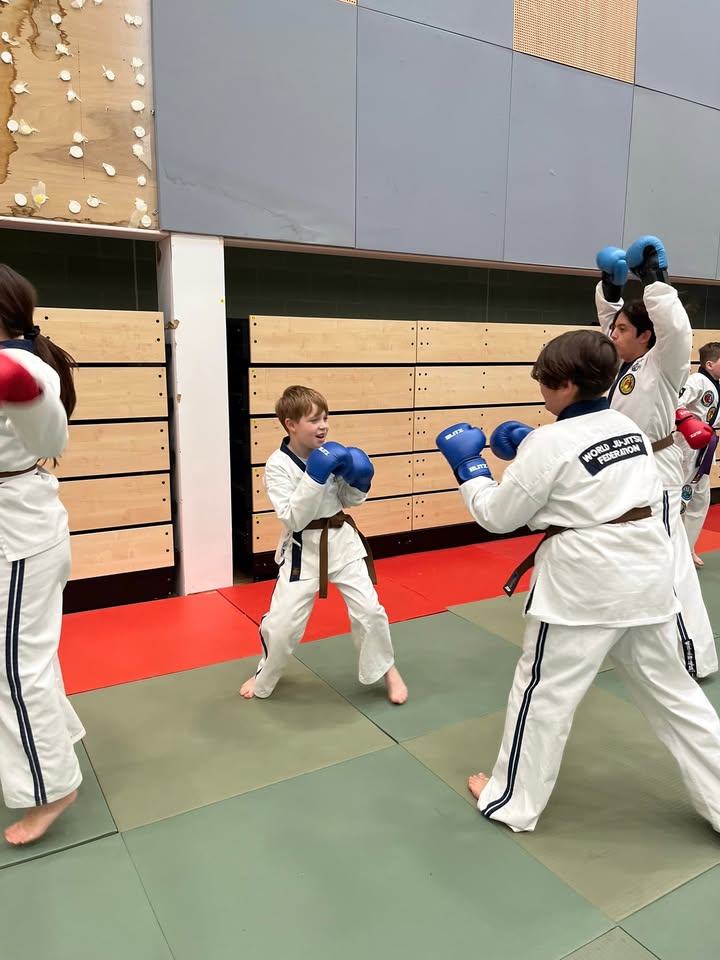 Ards Peninsula Ju-Jitsu Clubs
